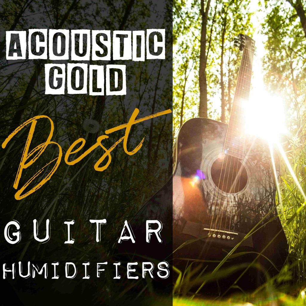 guitar_humidifiers